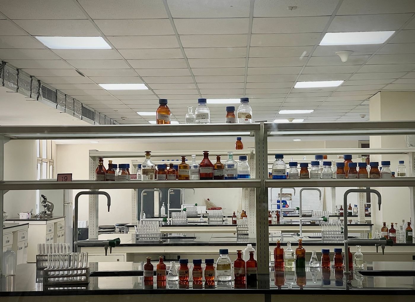Our Lab